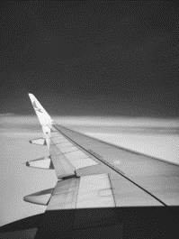 wing 1